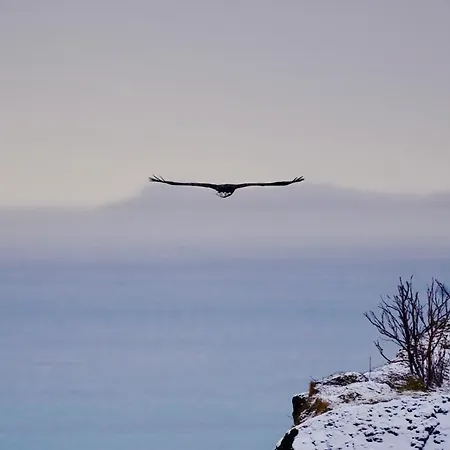 Lofoten Basecamp Alojamento de Turismo Selvagem Leknes