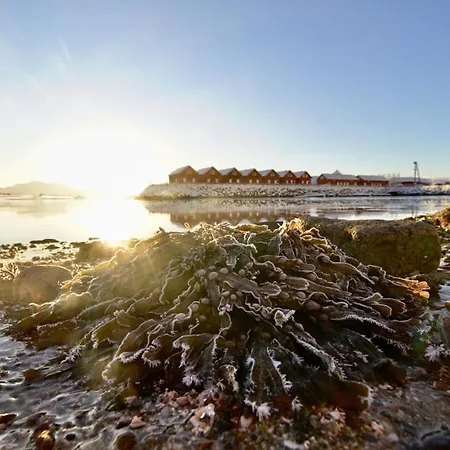 Lofoten Basecamp Alojamento de Turismo Selvagem Leknes