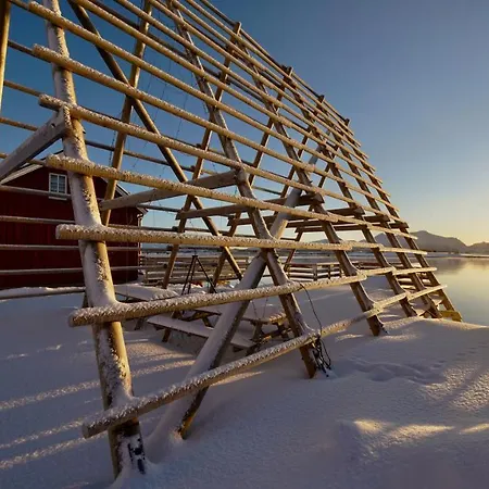 Lofoten Basecamp * 레크네스
