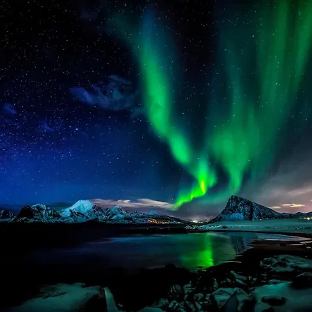 Lofoten Basecamp *