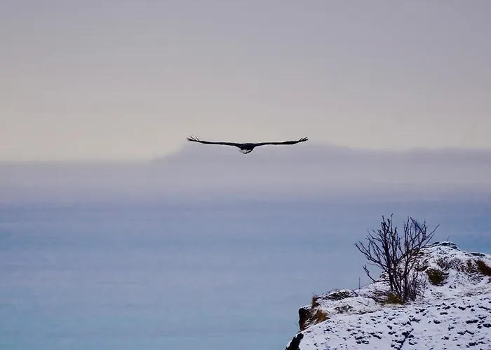 Lofoten Basecamp Jaktstuga Leknes