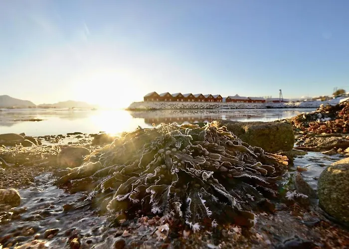 Lofoten Basecamp Jaktstuga Leknes
